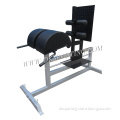 Manufacture wholesale Fitness equipment Roman Chair